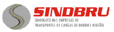 SIND DAS EMP DE TRANSPORTES DE CARGAS DE BAURU