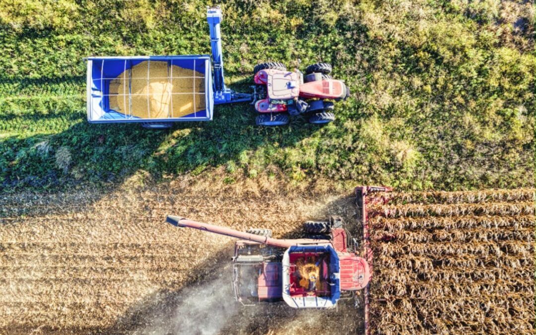 Estudo analisa os impactos da infraestrutura logística sobre a produção agrícola de Mato Grosso do Sul