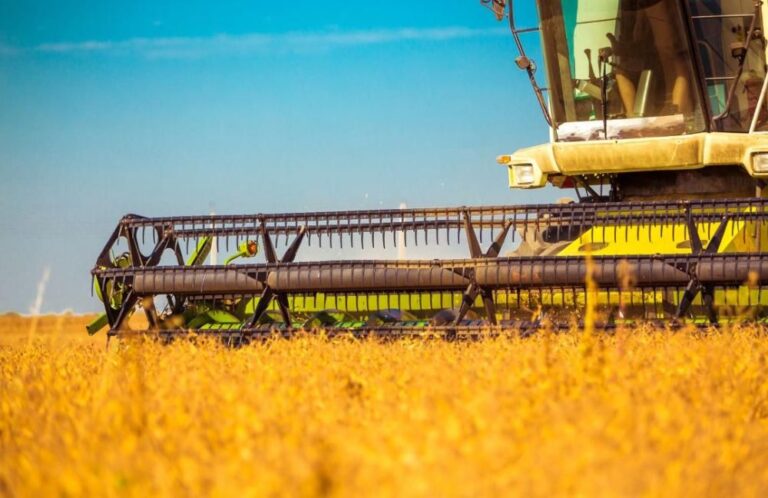 Agronegócio paulista registra US$ 8 bilhões de superávit em cinco meses