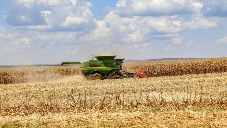 Brasil pode colher recorde de 126,6 milhões de toneladas de milho, aponta pesquisa