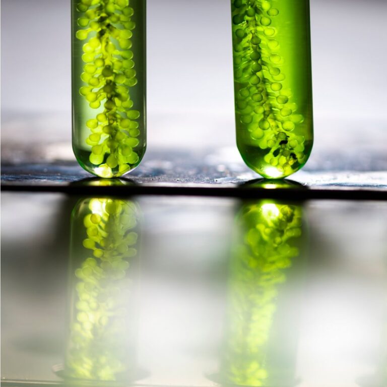 Governo aprova aumento do biodiesel no diesel para 12%