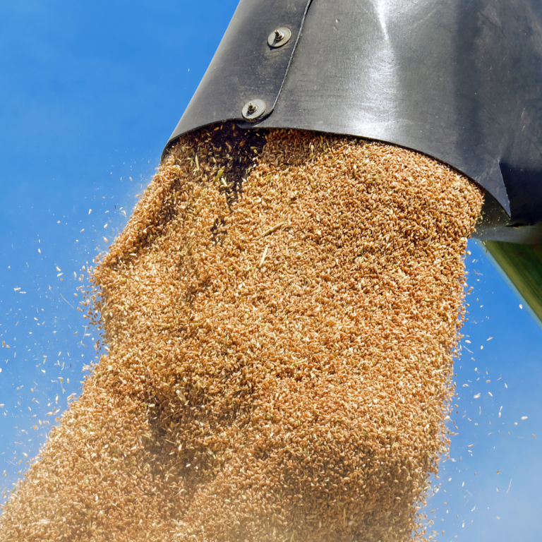 Produção de grãos deve ter alta de 15% na temporada 2022/23