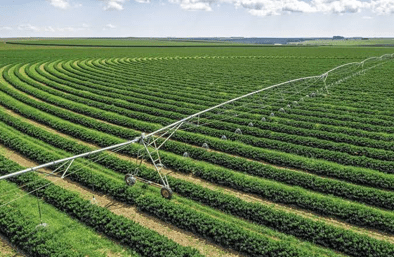 69% dos CEOs do agronegócio estão otimistas com crescimento da economia