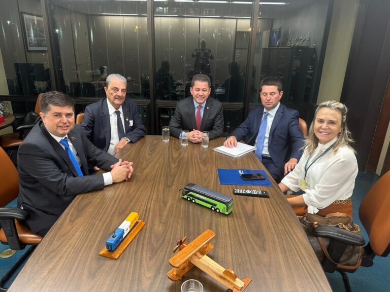 Presidente Francisco Pelucio reforça com parlamentares a importância da MP 1.153/2022 em Brasília