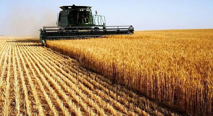 Índice de Confiança do Agronegócio cai 4 pontos no 1º trimestre, dizem Fiesp e IC Agro