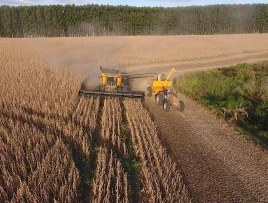Agronegócio cresce 42,2% e puxa valor do PIB no Rio Grande do Sul