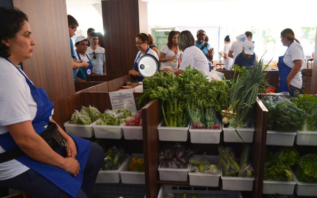 Pesquisa: 84% das empresas abertas no estado do Rio de Janeiro são MEI