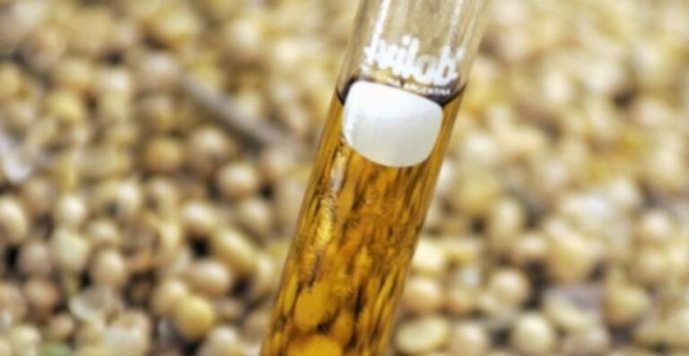Nova lei do biodiesel na Argentina deve impactar preços globais do óleo de soja