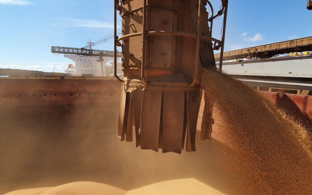 Exportações do agronegócio somam US$ 10,9 bilhões em agosto, diz CNA