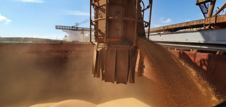 Exportações do agronegócio somam US$ 10,9 bilhões em agosto, diz CNA