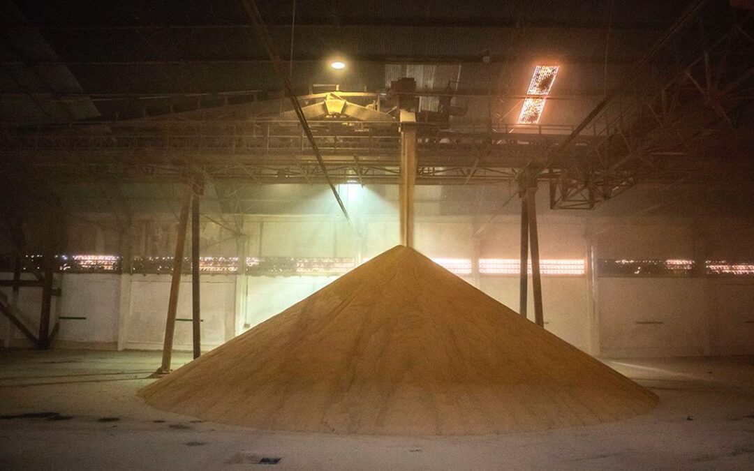 Ipea prevê cenário positivo para a produção agrícola em 2022