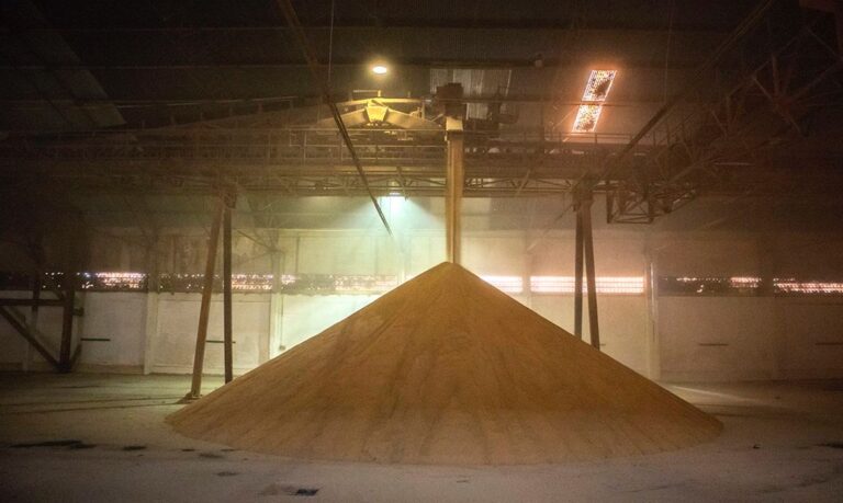 Ipea prevê cenário positivo para a produção agrícola em 2022