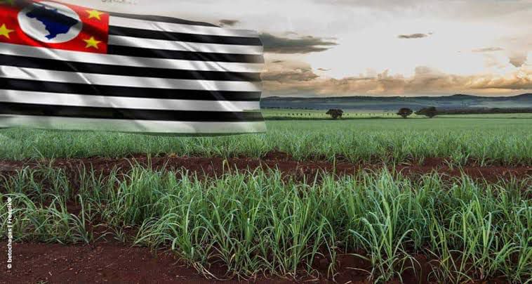 Agronegócio de São Paulo foi mais forte do que todas as crises