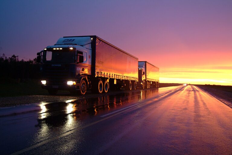 Os desafios do transporte rodoviário de cargas internacionais em 2021