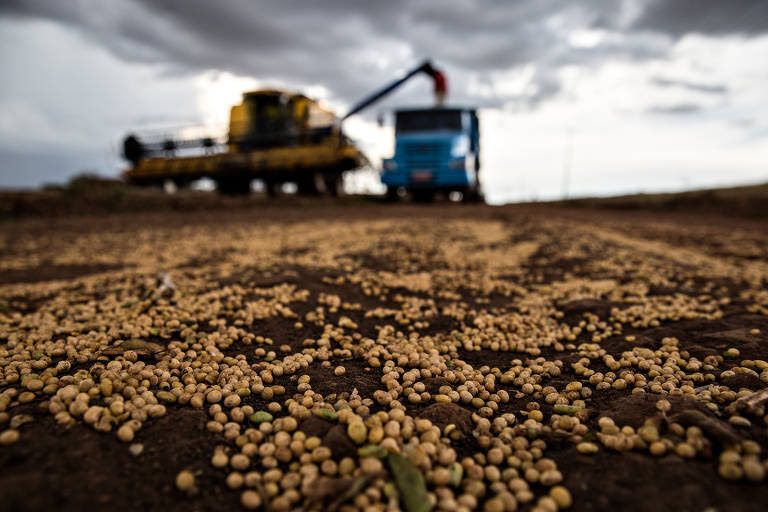 Brasil diversifica mais, e China perde participação no agronegócio brasileiro