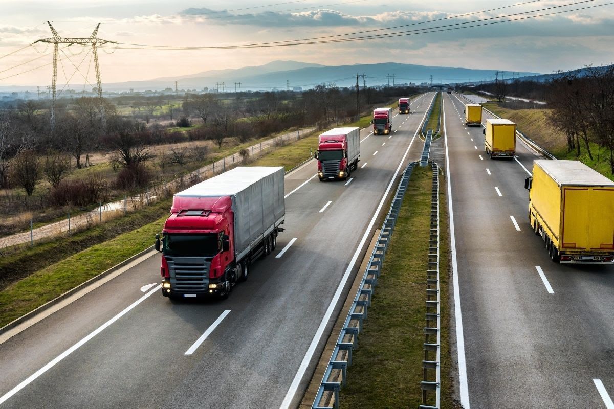 WhatsApp Image 2022-01-18 at 07.50.57