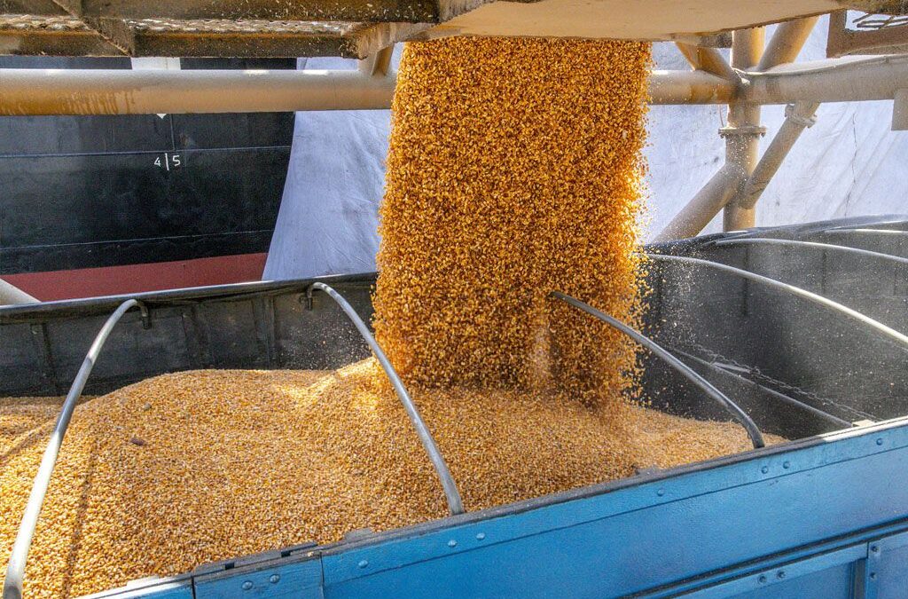 Produtos do agro geram 90% da receita de exportações dos portos do Paraná