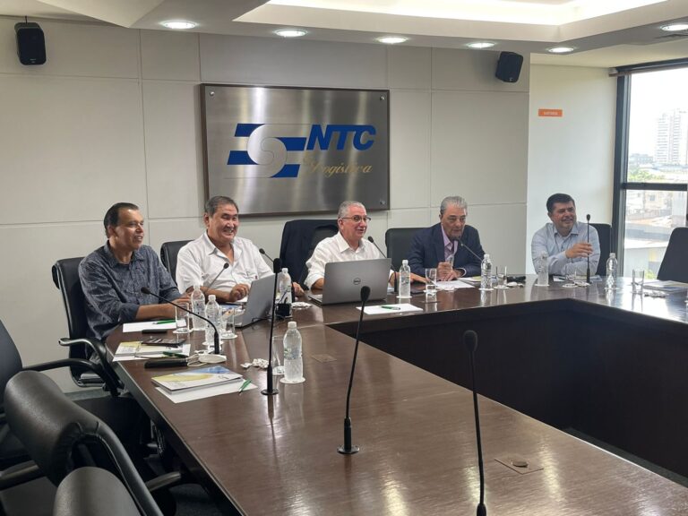 CTGS realiza reunião híbrida com integrantes da câmara técnica