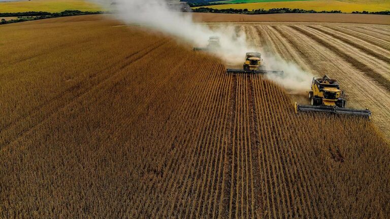 Exportações do agronegócio batem recorde em março