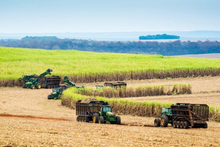 Brasil e Índia avançam em parceria para ampliar uso de etanol