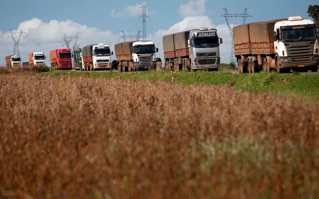 Em MT, transporte rodoviário de cargas apresentou crescimento em 2022