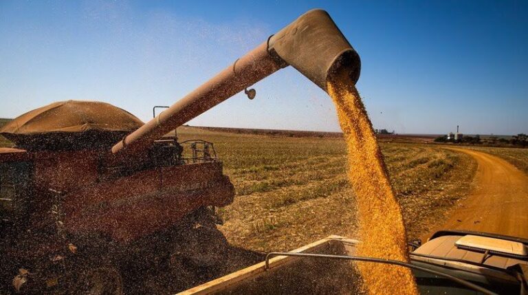 Agro da Bahia fecha o 1º trimestre respondendo por quase 25% do PIB do estado