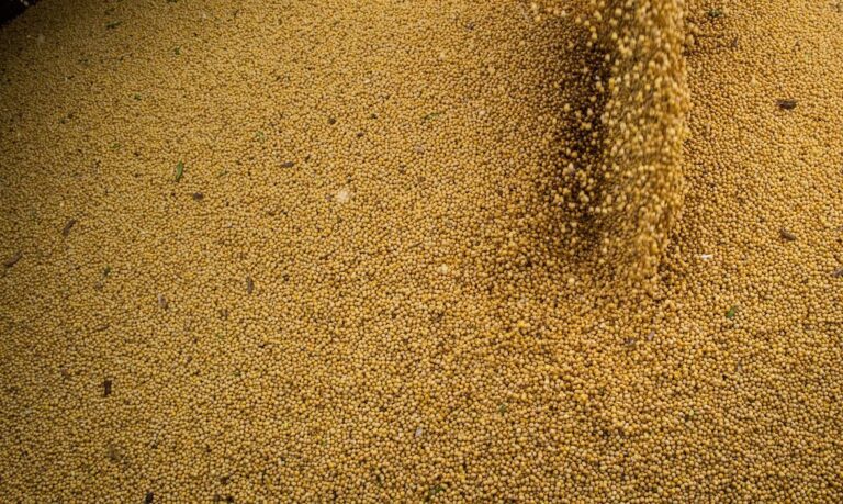 Projeções da AEB para balança comercial apontam para novos recordes