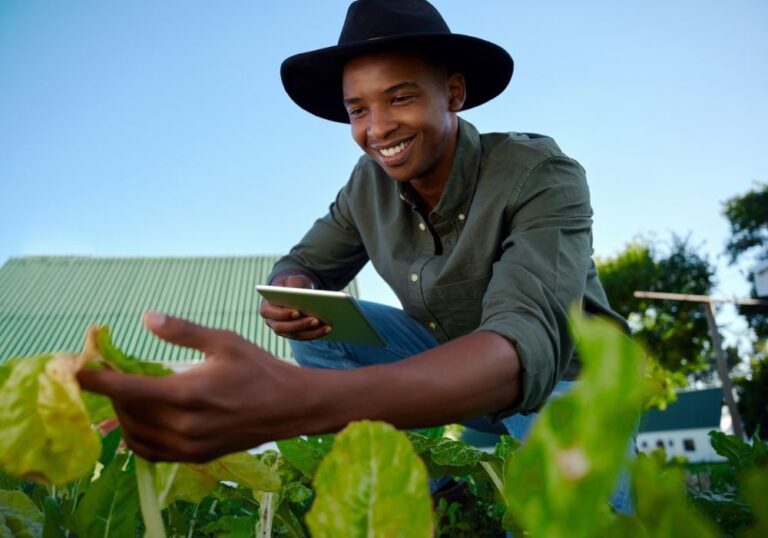 5G: a conectividade e as transformações da indústria e do agronegócio