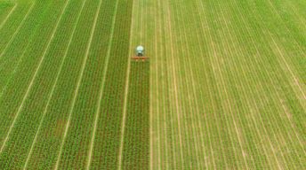 Com foco em tecnologia e bem-estar social, agronegócio brasileiro consegue crescer e superar crises econômicas