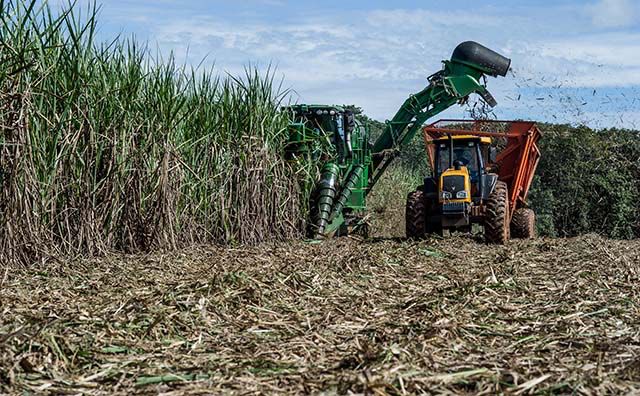 Agronegócio mineiro fecha 2022 com recorde nas exportações