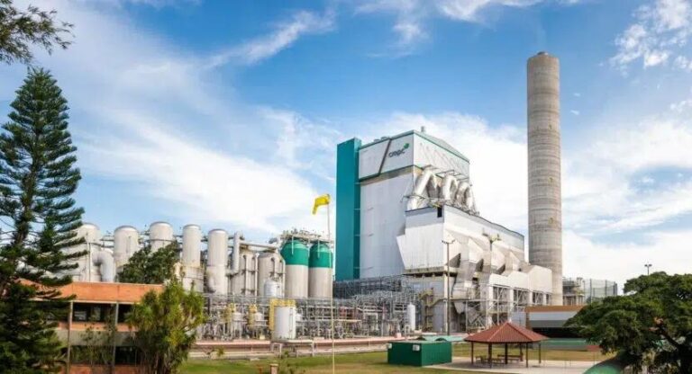 Indústria Brasileira de papel e celulose é referência na implantação de práticas ESG, garantindo inovação e sustentabilidade