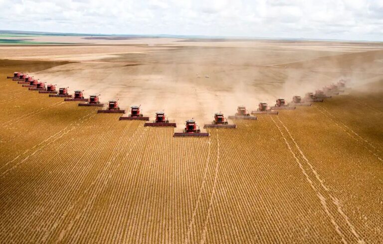Agronegócio no Brasil dá salto em 20 anos e hoje equivale ao PIB da Argentina