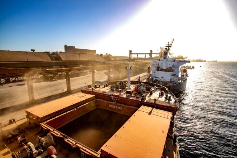 Em 10 meses, Portos do Paraná registra crescimento de 15% nas movimentações para exportação