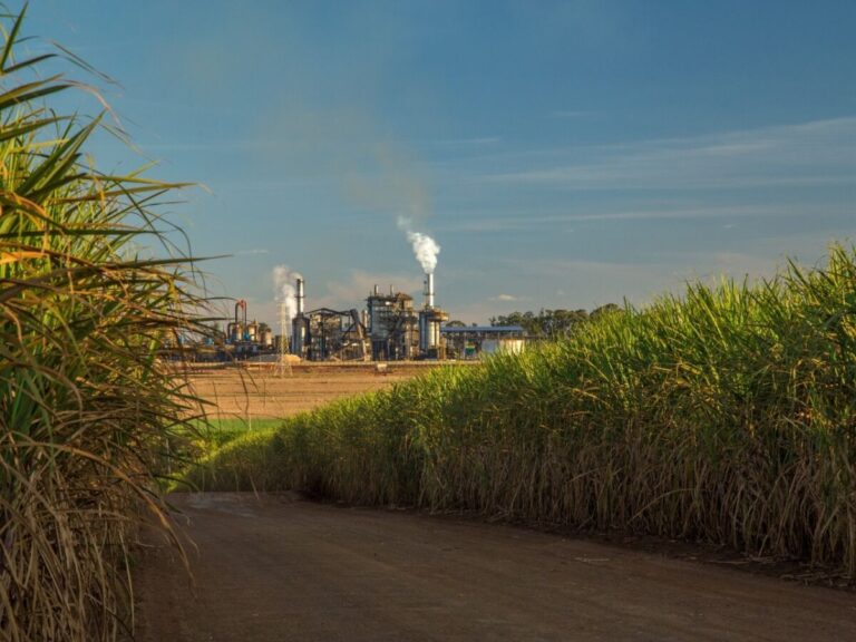 Agronegócio pernambucano bate recorde de exportações em 2023