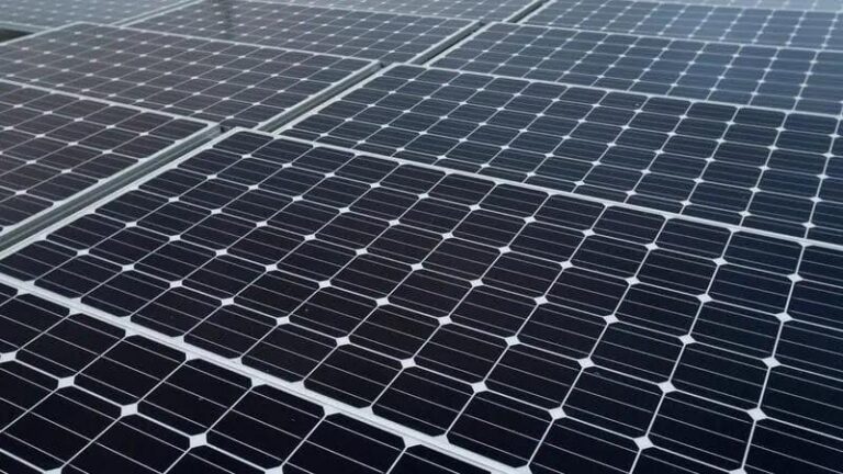 Grupo Rodonaves investe em energia renovável em suas operações