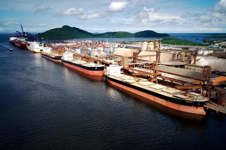 Em janeiro, movimentação de cargas foi recorde na Portos do Paraná