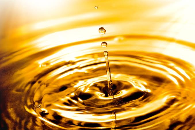 WhatsApp Image 2024-05-17 at 06.55.29