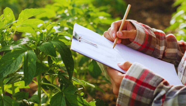Agronegócio cresceu 13% em 2023, em comparação a 2022