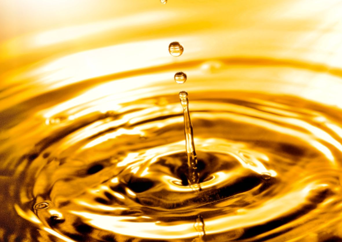 WhatsApp Image 2024-07-30 at 08.30.46