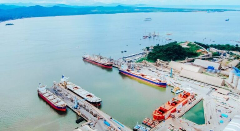 Com exportações de grãos em alta, Porto de São Francisco do Sul registra o melhor ano da sua história