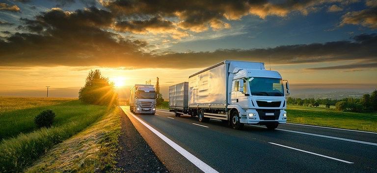 WhatsApp Image 2025-02-11 at 06.12.51 (2)