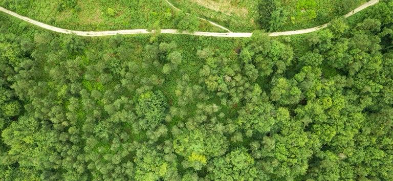 ANTT institui comitês para fortalecer sustentabilidade na infraestrutura de transportes terrestres