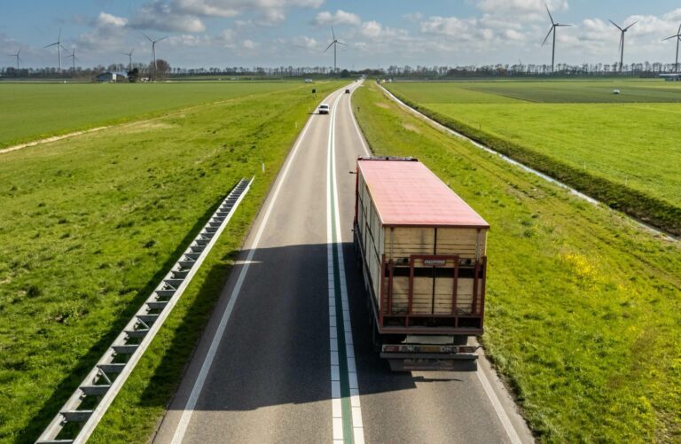 TCU e o planejamento do transporte de cargas no Brasil