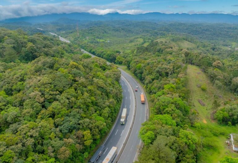 Escoamento da safra aumenta fluxo de caminhões em rodovias paranaenses