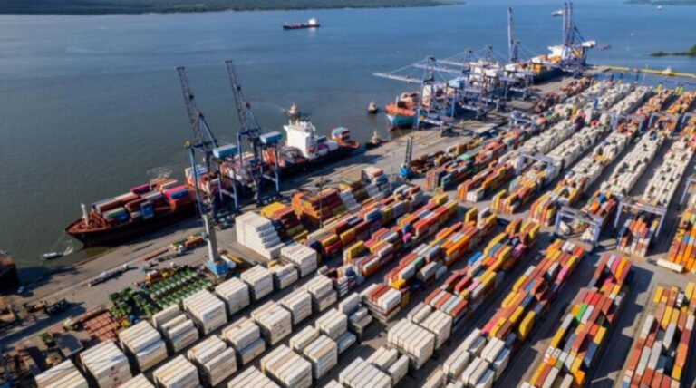 Exportações de madeira e carnes impulsionam novo recorde de movimentação no Porto de Paranaguá