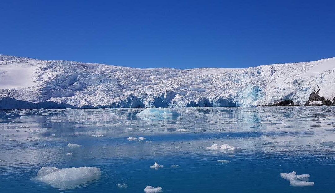 Primeiro Encontro de Crônicas do Gelo, em agenda alusiva à Antártica e ao Dia Internacional da Conscientização sobre as Mudanças Climáticas, acontece na subsede da NTC&Logística, em São Paulo