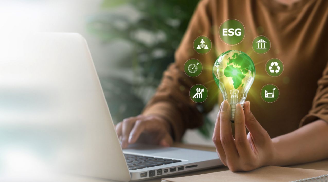 WhatsApp Image 2025-10-29 at 07.40.55 (1)