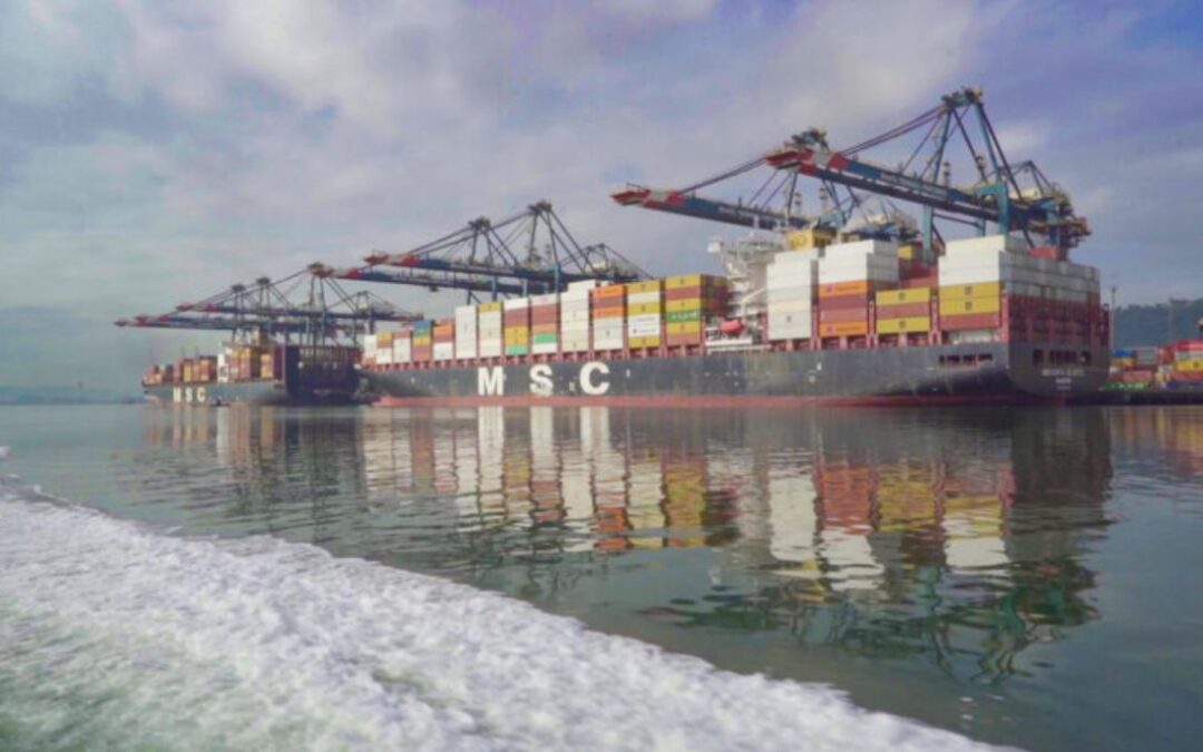 Porto de Santos cresce 11,6% em contêineres e tem melhor mês da história