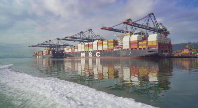 Porto de Santos cresce 11,6% em contêineres e tem melhor mês da história