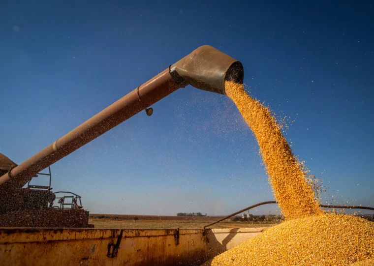 WhatsApp Image 2026-01-16 at 08.01.02 (1)